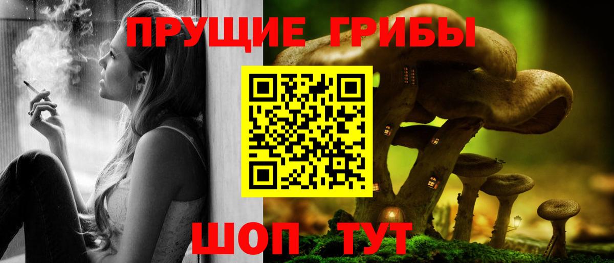 Гатчина  Псилоцибиновые грибы прущие грибы  Вход с VPN  Псилоцибиновые грибы Psilocybine cubensis 